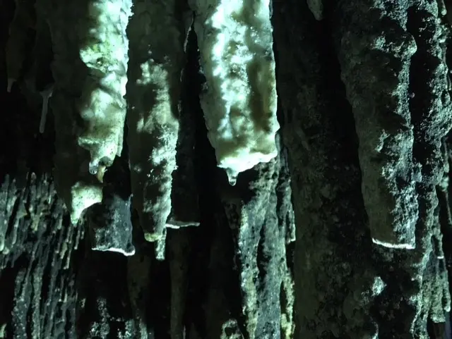 ラーチャブリー県 カオビン洞窟 鍾乳石形成中