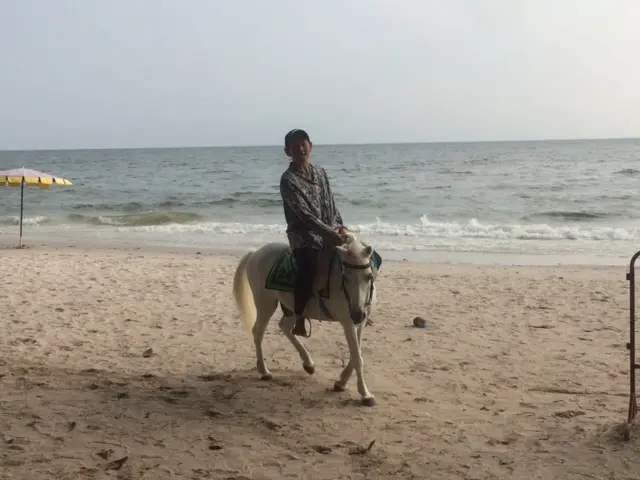 ホアヒンビーチ　馬