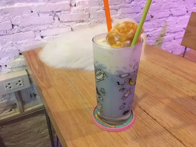 バンコク・猫カフェ カラメルミルク