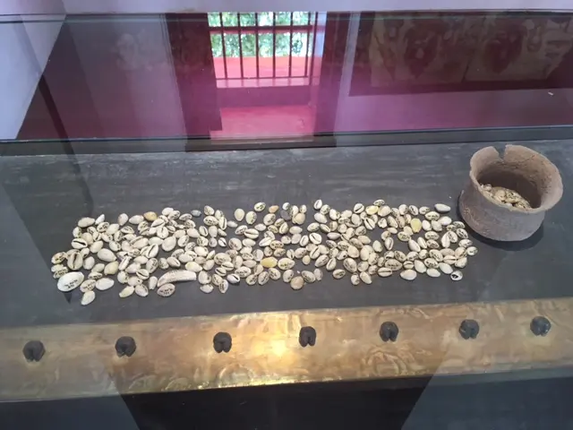 ロッブリー ナーラーイ国立博物館 Chanthara Throne Hall 貝のお金