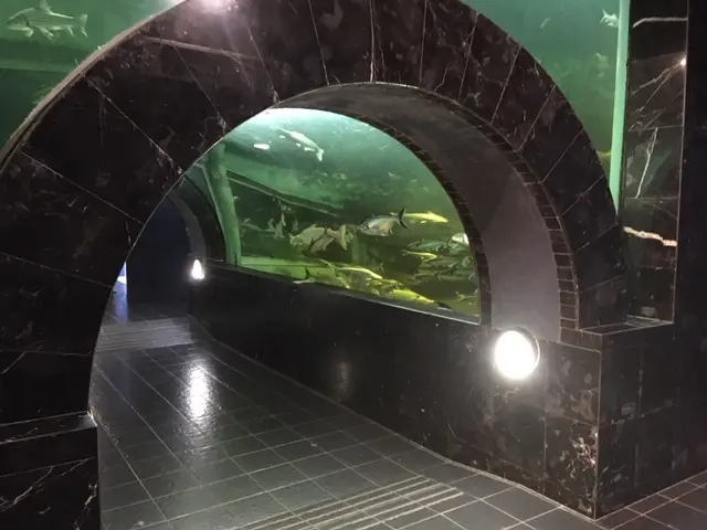 チャイナート・バードパーク 水族館 水中トンネル