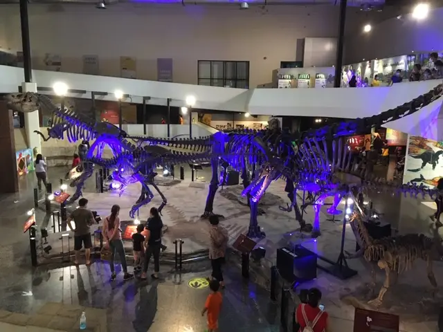 カーラシン県 シリントーン博物館 シャモティラヌスの実物大模型