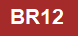 MRTブラウンラインBR12