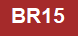MRTブラウンラインBR15