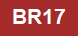 MRTブラウンラインBR17