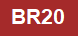 MRTブラウンラインBR20